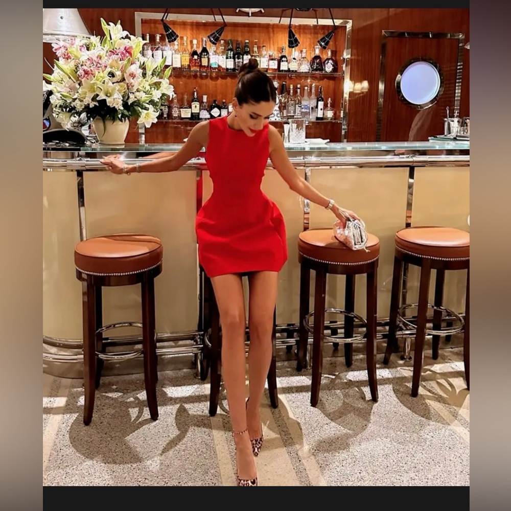 COPY - Zara viral dress - Picture 3 of 6